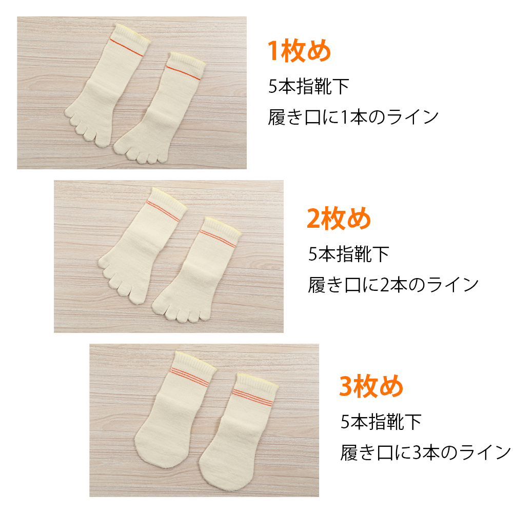 1����5�ܻء���������1�ܤΥ饤��2����5�ܻء���������2�ܤΥ饤��3������ݡ���������3�ܤΥ饤��